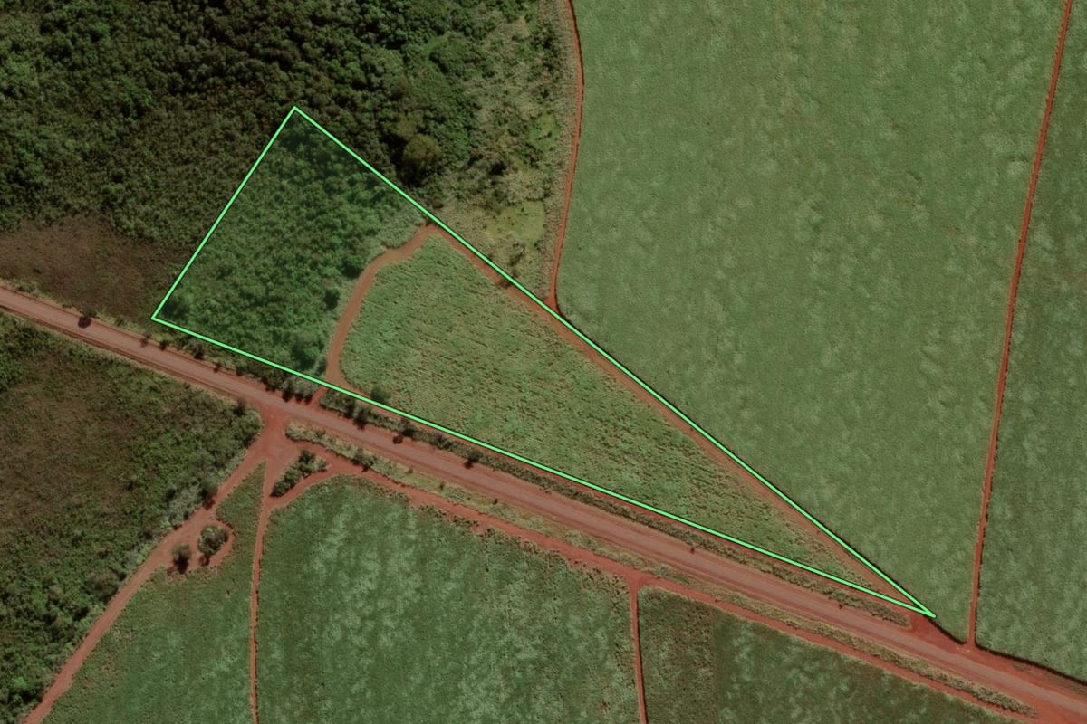 Imagem de satélite do imóvel rural em Morro Agudo (SP), com o contorno declarado no CAR desenhado por cima.