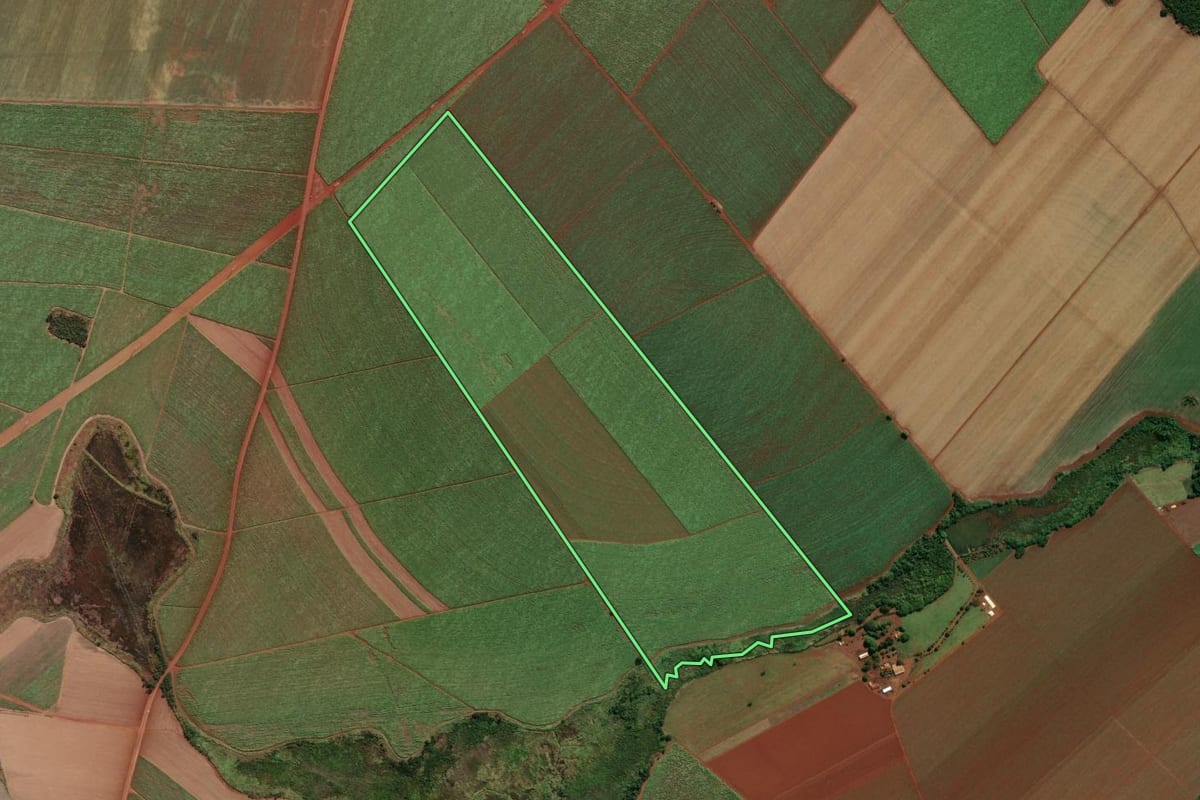 Imagem de satélite do imóvel rural em Morro Agudo (SP), com o contorno declarado no CAR desenhado por cima.