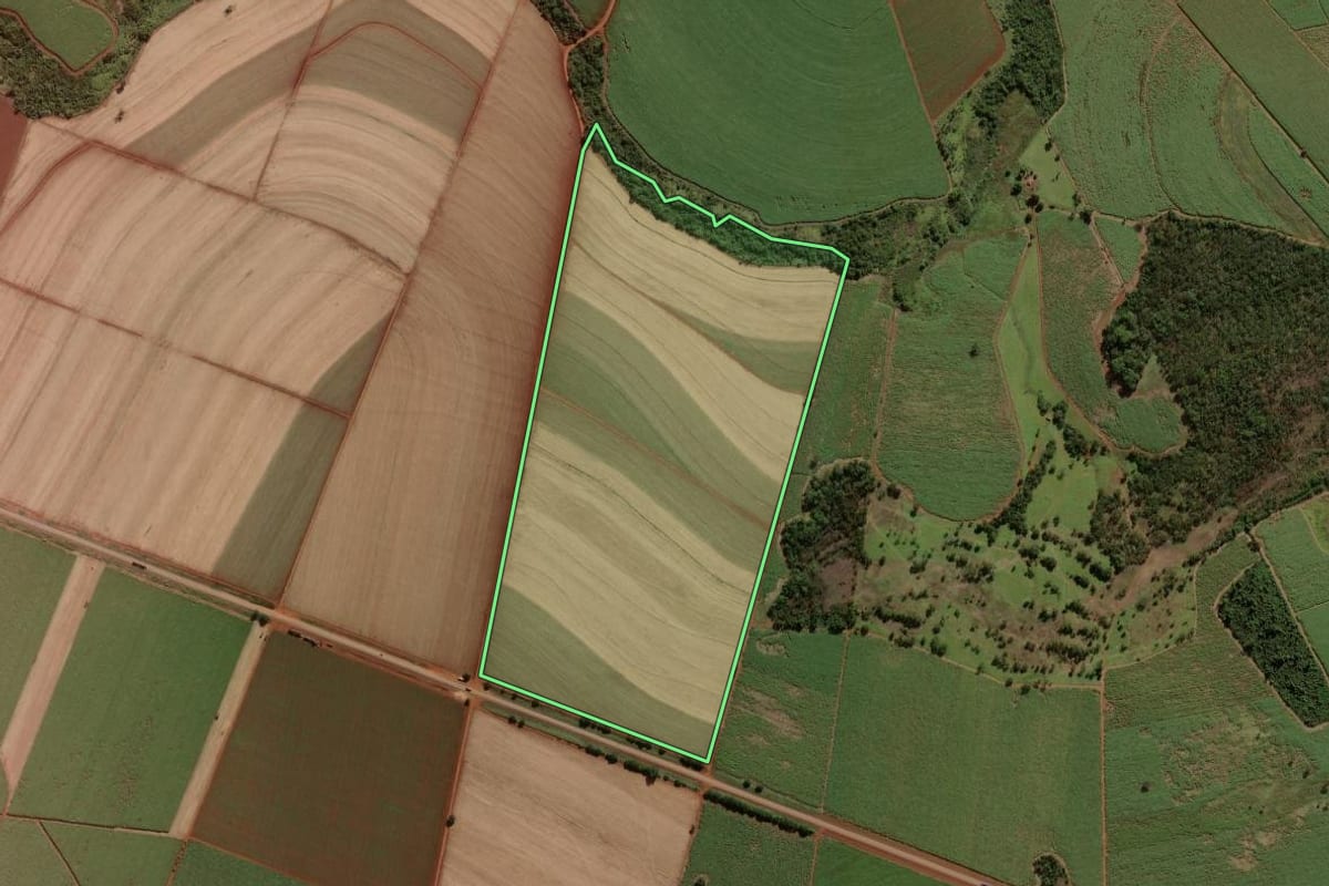 Imagem de satélite do imóvel rural em Morro Agudo (SP), com o contorno declarado no CAR desenhado por cima.