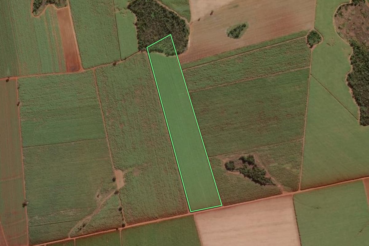 Imagem de satélite do imóvel rural em Morro Agudo (SP), com o contorno declarado no CAR desenhado por cima.