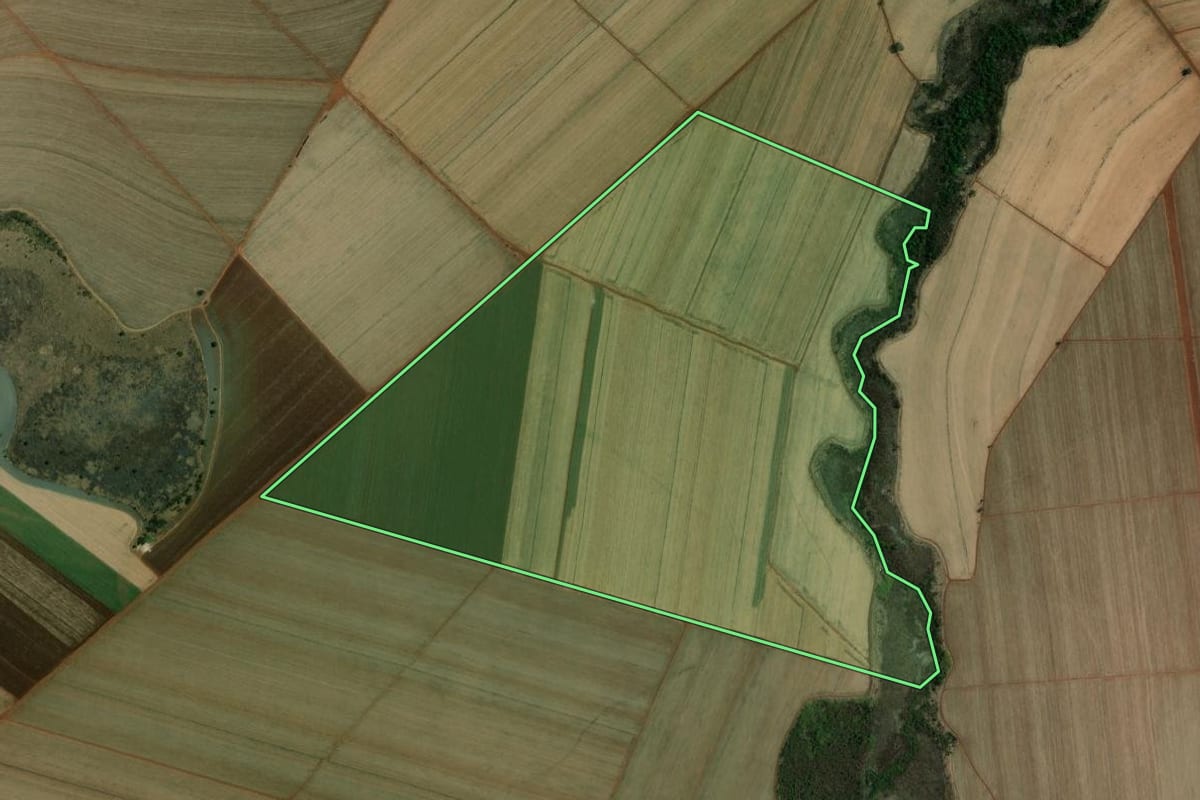 Imagem de satélite do imóvel rural em Morro Agudo (SP), com o contorno declarado no CAR desenhado por cima.