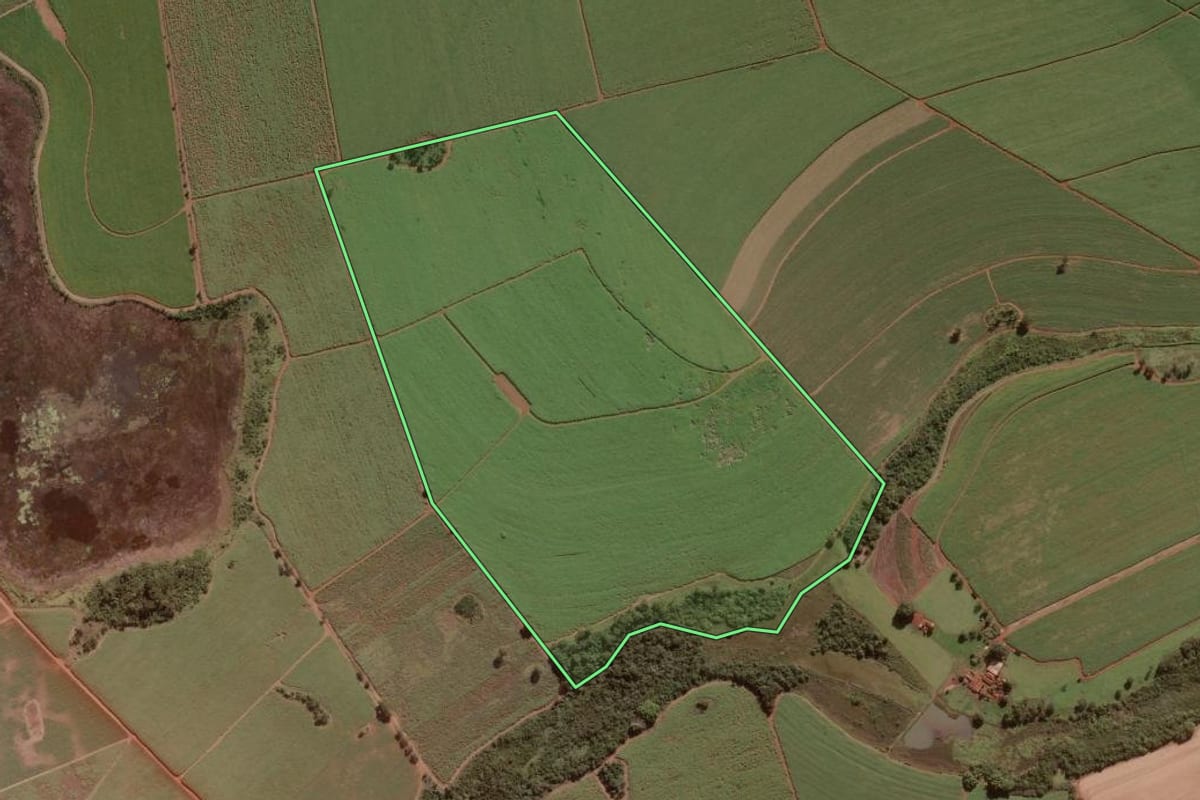 Imagem de satélite do imóvel rural em Morro Agudo (SP), com o contorno declarado no CAR desenhado por cima.