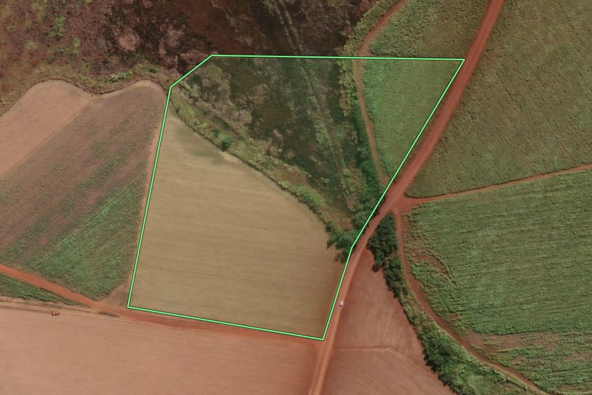 Imagem de satélite do imóvel rural em Morro Agudo (SP), com o contorno declarado no CAR desenhado por cima.