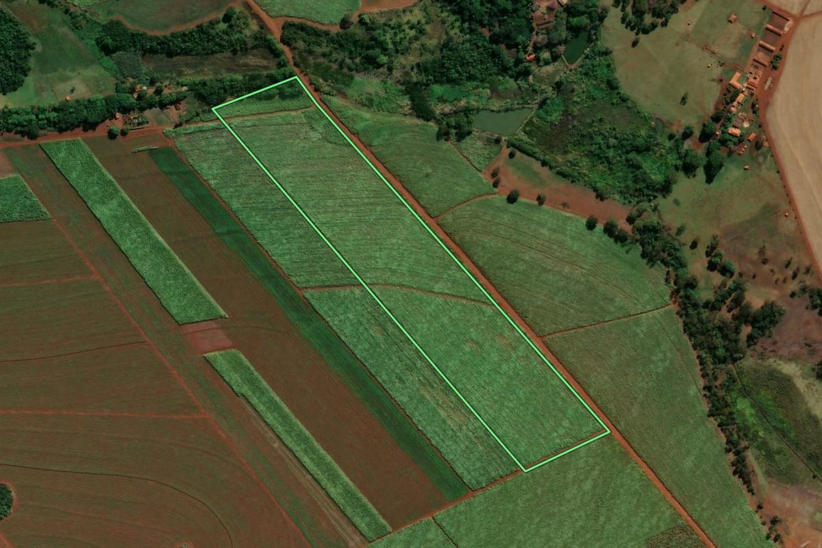 Imagem de satélite do imóvel rural em Morro Agudo (SP), com o contorno declarado no CAR desenhado por cima.