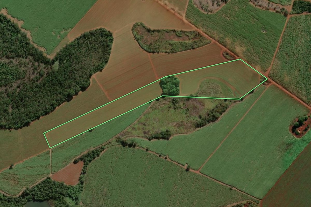 Imagem de satélite do imóvel rural em Morro Agudo (SP), com o contorno declarado no CAR desenhado por cima.