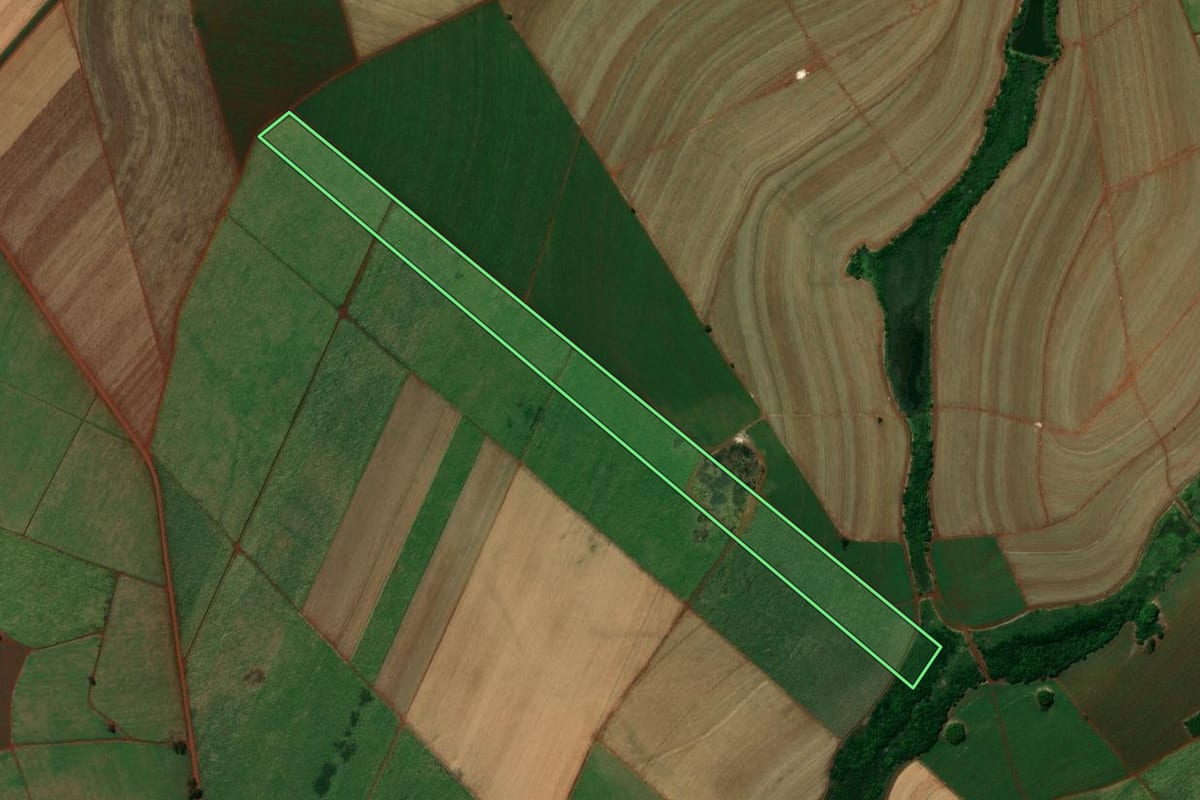 Imagem de satélite do imóvel rural em Morro Agudo (SP), com o contorno declarado no CAR desenhado por cima.