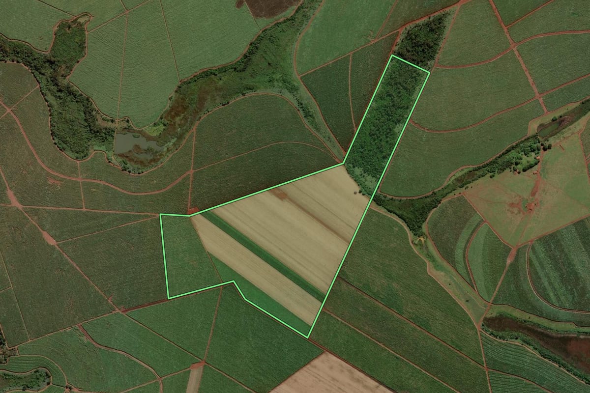 Imagem de satélite do imóvel rural em Morro Agudo (SP), com o contorno declarado no CAR desenhado por cima.