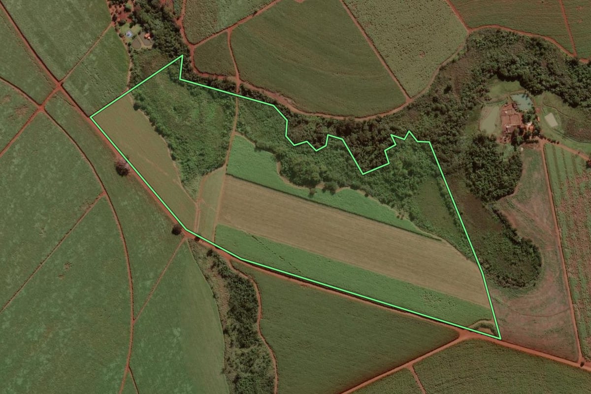 Imagem de satélite do imóvel rural em Morro Agudo (SP), com o contorno declarado no CAR desenhado por cima.
