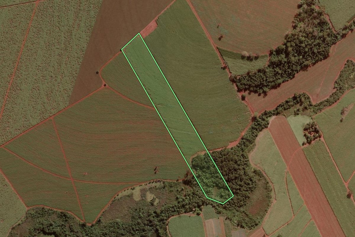 Imagem de satélite do imóvel rural em Morro Agudo (SP), com o contorno declarado no CAR desenhado por cima.