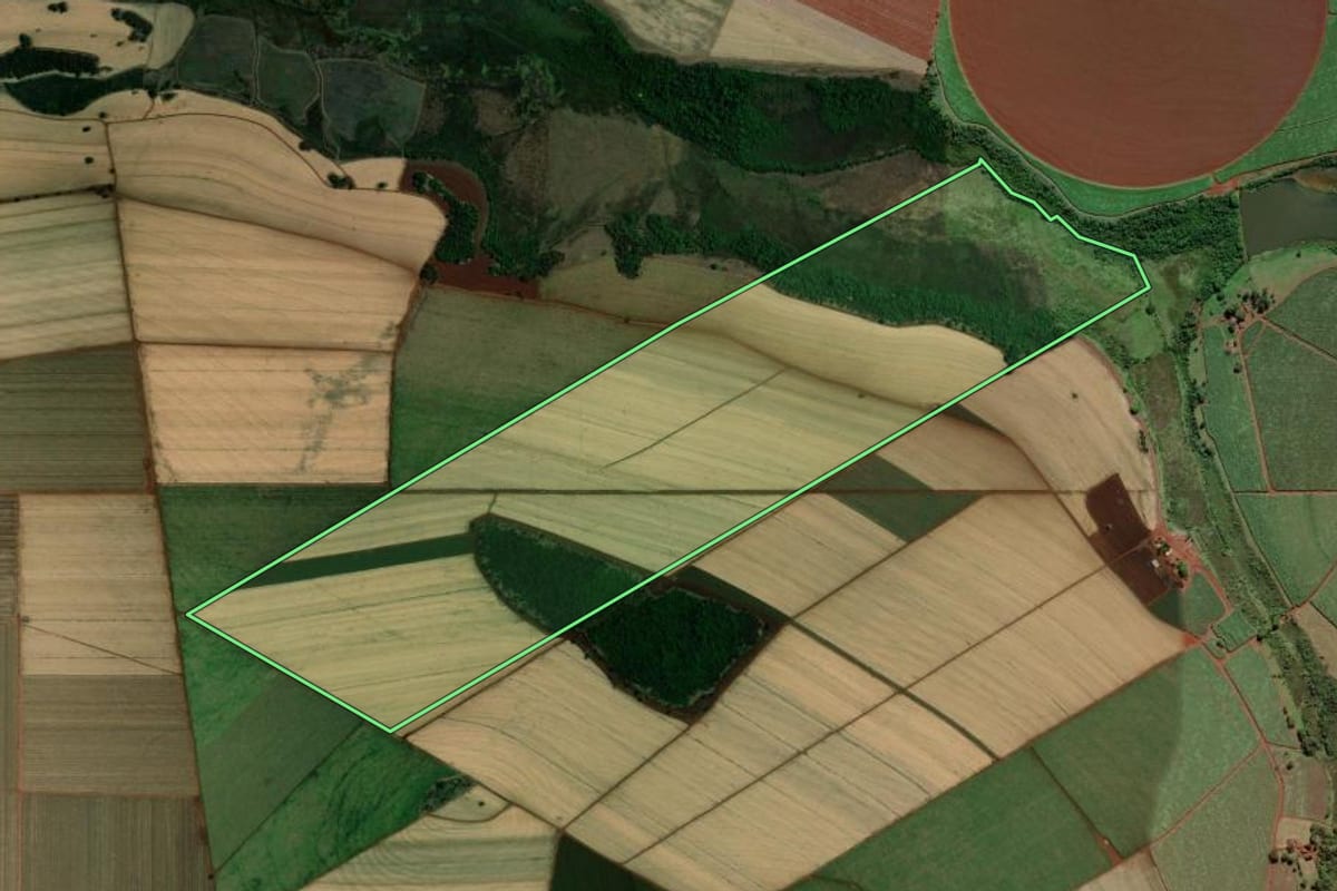 Imagem de satélite do imóvel rural em Morro Agudo (SP), com o contorno declarado no CAR desenhado por cima.