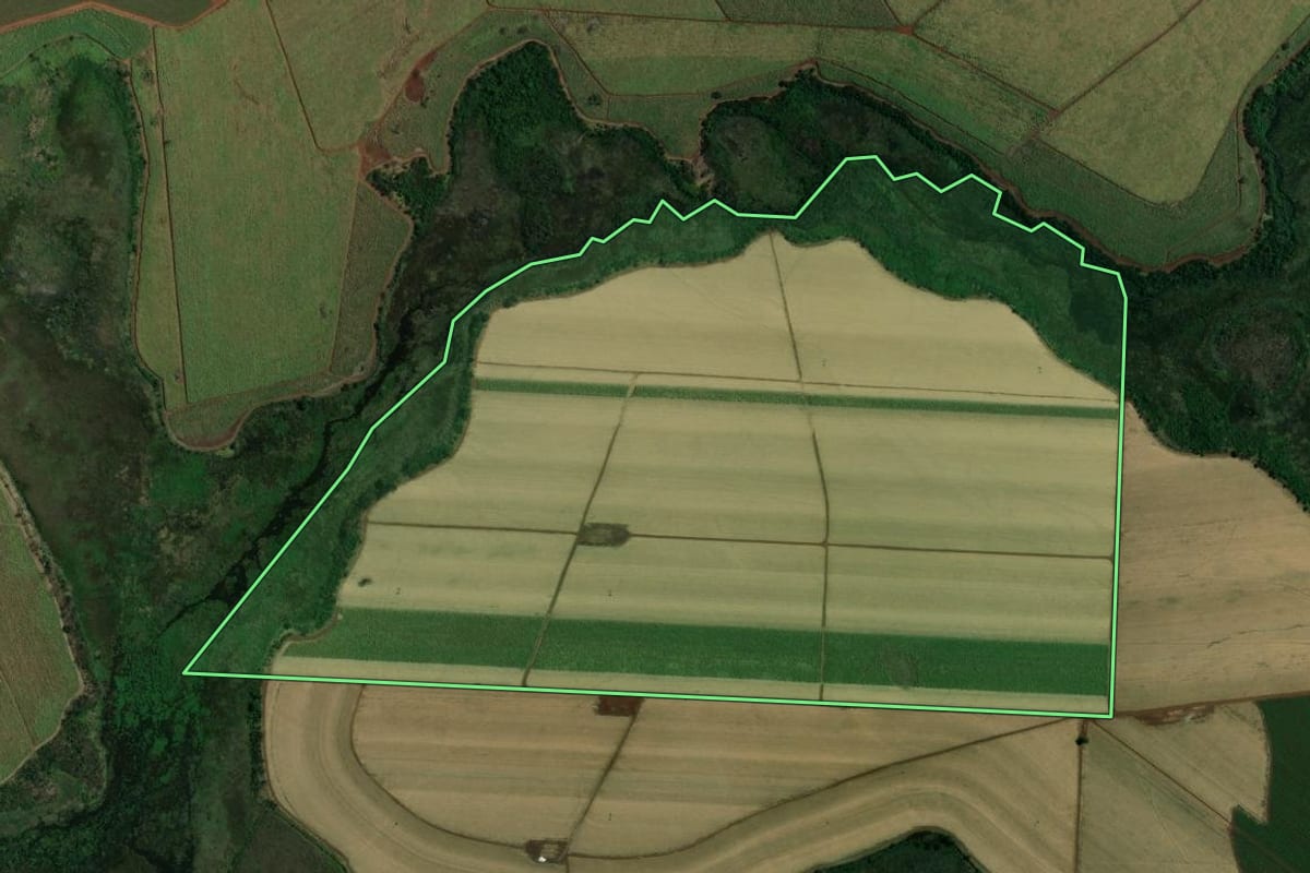 Imagem de satélite do imóvel rural em Morro Agudo (SP), com o contorno declarado no CAR desenhado por cima.