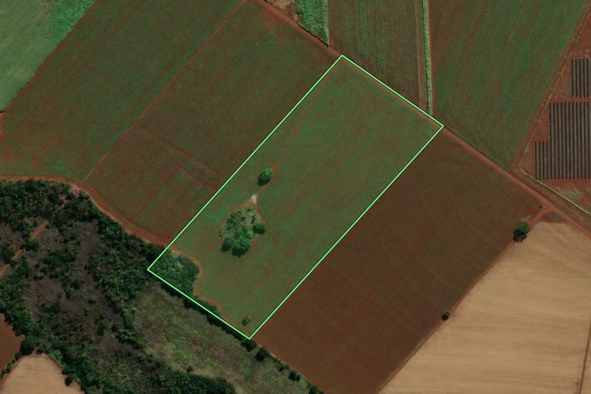 Imagem de satélite do imóvel rural em Morro Agudo (SP), com o contorno declarado no CAR desenhado por cima.
