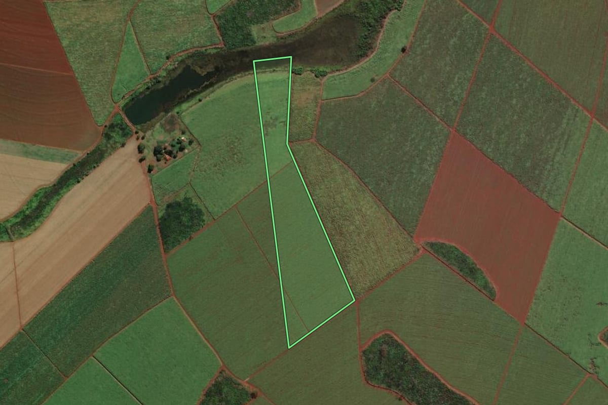 Imagem de satélite do imóvel rural em Morro Agudo (SP), com o contorno declarado no CAR desenhado por cima.