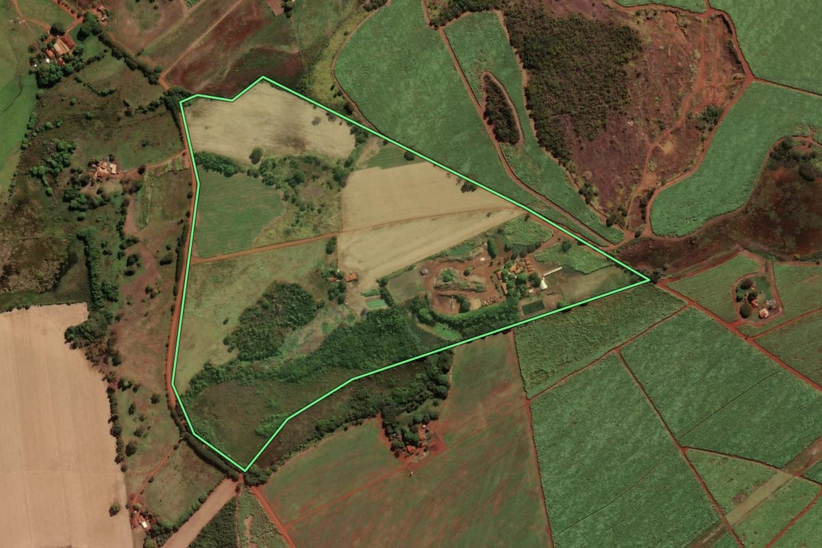 Imagem de satélite do imóvel rural em Morro Agudo (SP), com o contorno declarado no CAR desenhado por cima.