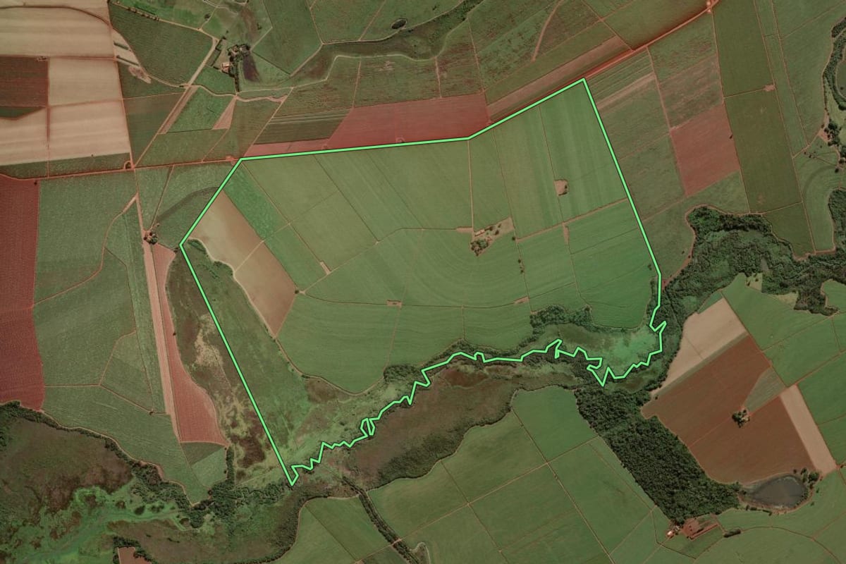Imagem de satélite do imóvel rural em Morro Agudo (SP), com o contorno declarado no CAR desenhado por cima.