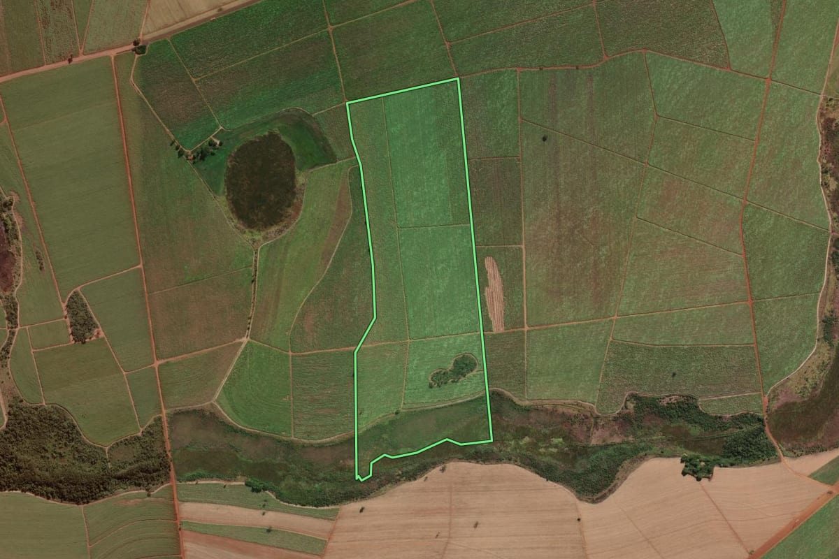 Imagem de satélite do imóvel rural em Morro Agudo (SP), com o contorno declarado no CAR desenhado por cima.