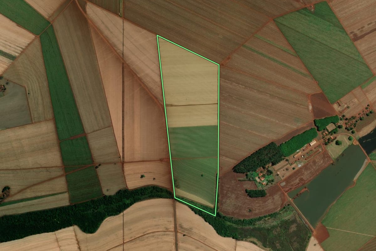 Imagem de satélite do imóvel rural em Morro Agudo (SP), com o contorno declarado no CAR desenhado por cima.