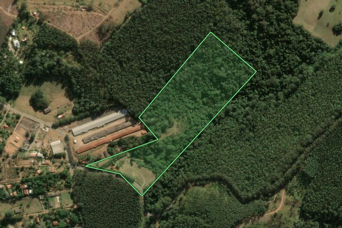 Imagem de satélite do imóvel rural em Morungaba (SP), com o contorno declarado no CAR desenhado por cima.