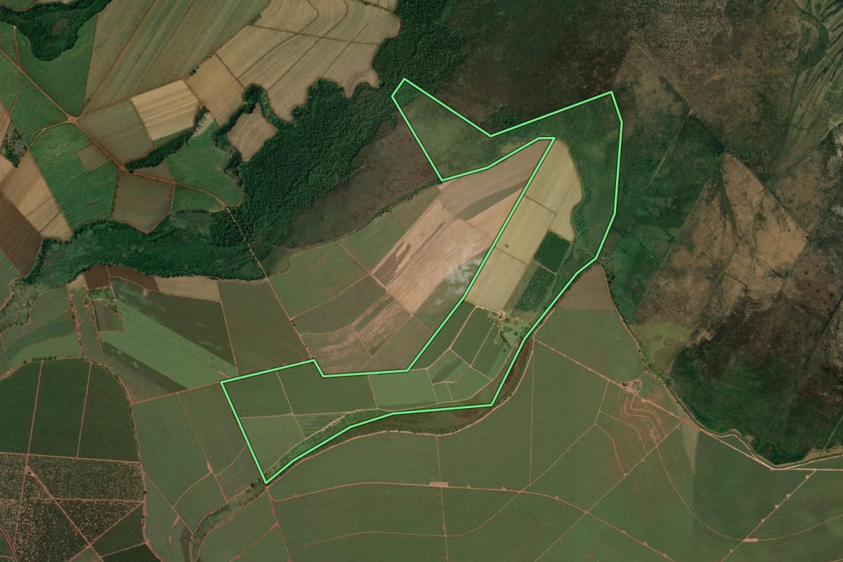 Imagem de satélite do imóvel rural em Motuca (SP), com o contorno declarado no CAR desenhado por cima.