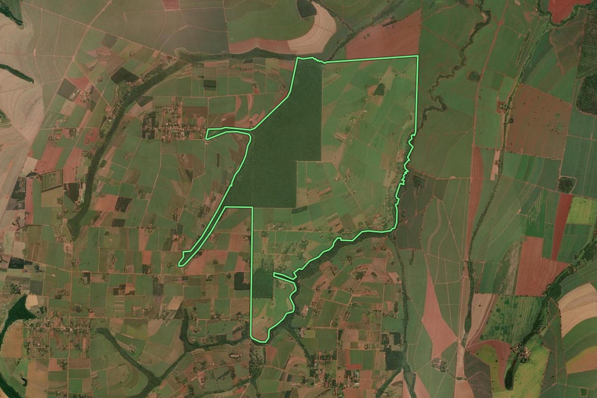 Imagem de satélite do imóvel rural em Motuca (SP), com o contorno declarado no CAR desenhado por cima.