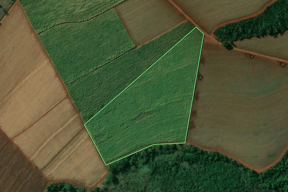Imagem de satélite do imóvel rural em Motuca (SP), com o contorno declarado no CAR desenhado por cima.