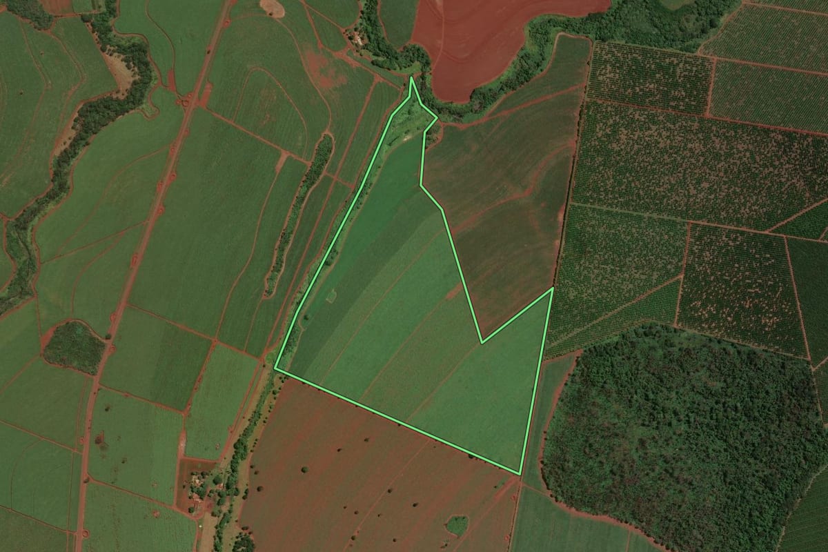 Imagem de satélite do imóvel rural em Motuca (SP), com o contorno declarado no CAR desenhado por cima.