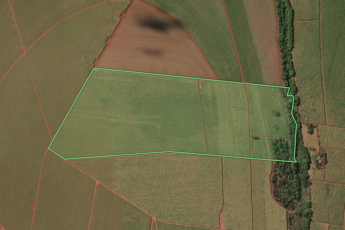 Imagem de satélite do imóvel rural em Motuca (SP), com o contorno declarado no CAR desenhado por cima.