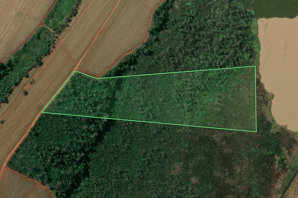 Imagem de satélite do imóvel rural em Motuca (SP), com o contorno declarado no CAR desenhado por cima.