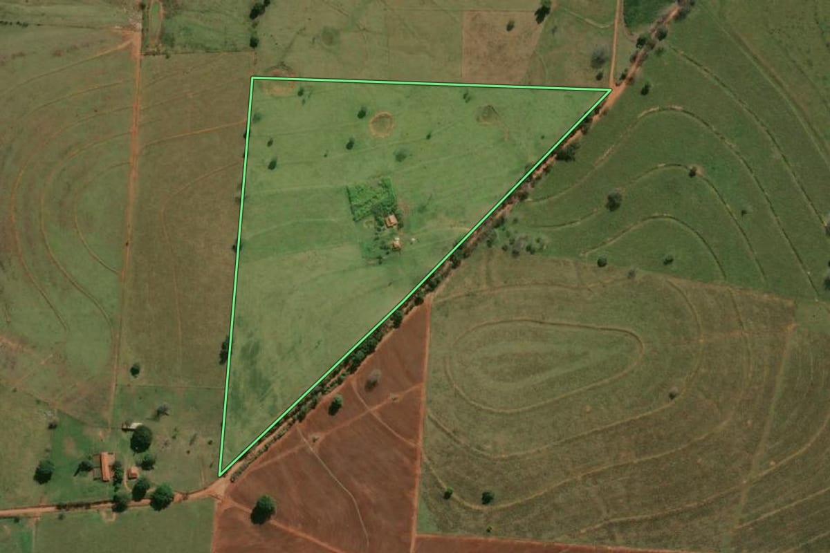 Imagem de satélite do imóvel rural em Murutinga do Sul (SP), com o contorno declarado no CAR desenhado por cima.