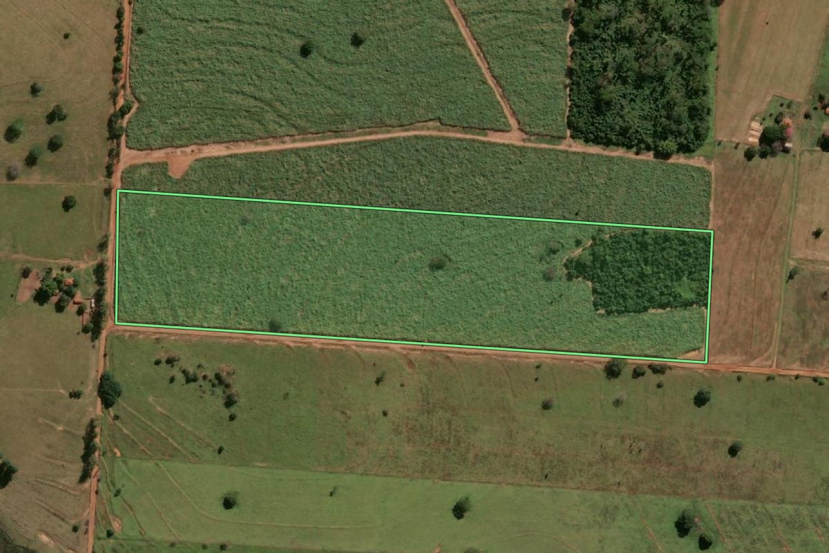 Imagem de satélite do imóvel rural em Murutinga do Sul (SP), com o contorno declarado no CAR desenhado por cima.