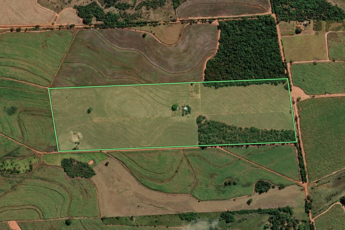 Imagem de satélite do imóvel rural em Murutinga do Sul (SP), com o contorno declarado no CAR desenhado por cima.