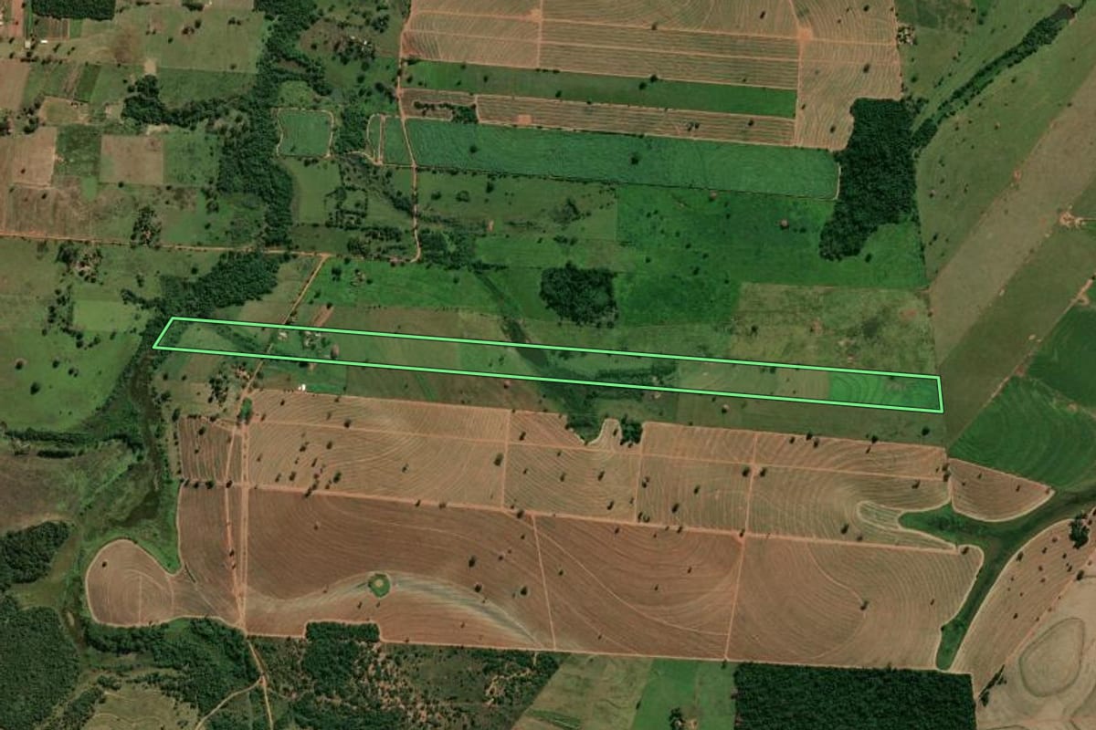Imagem de satélite do imóvel rural em Murutinga do Sul (SP), com o contorno declarado no CAR desenhado por cima.