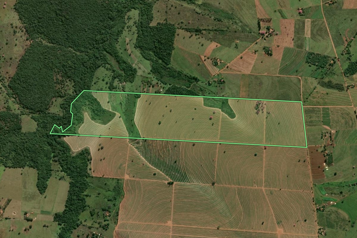 Imagem de satélite do imóvel rural em Murutinga do Sul (SP), com o contorno declarado no CAR desenhado por cima.