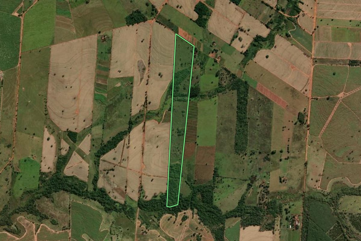Imagem de satélite do imóvel rural em Murutinga do Sul (SP), com o contorno declarado no CAR desenhado por cima.