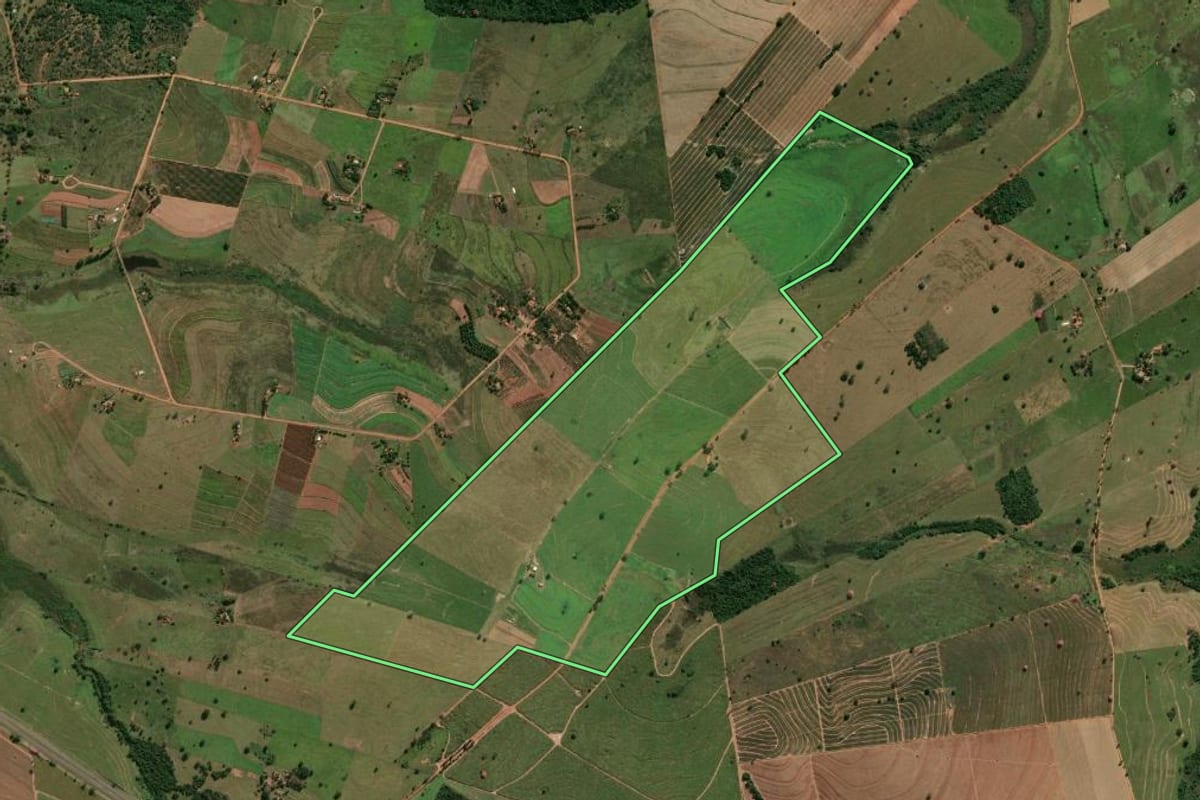Imagem de satélite do imóvel rural em Murutinga do Sul (SP), com o contorno declarado no CAR desenhado por cima.