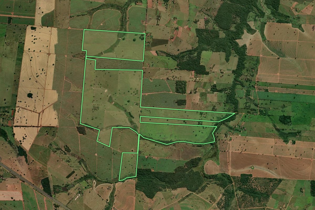 Imagem de satélite do imóvel rural em Murutinga do Sul (SP), com o contorno declarado no CAR desenhado por cima.