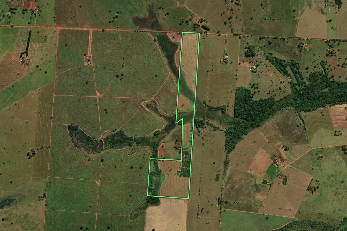 Imagem de satélite do imóvel rural em Murutinga do Sul (SP), com o contorno declarado no CAR desenhado por cima.