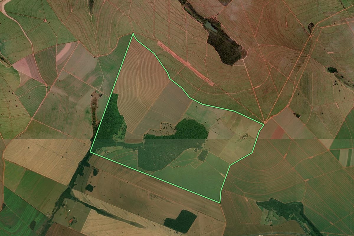 Imagem de satélite do imóvel rural em Nantes (SP), com o contorno declarado no CAR desenhado por cima.