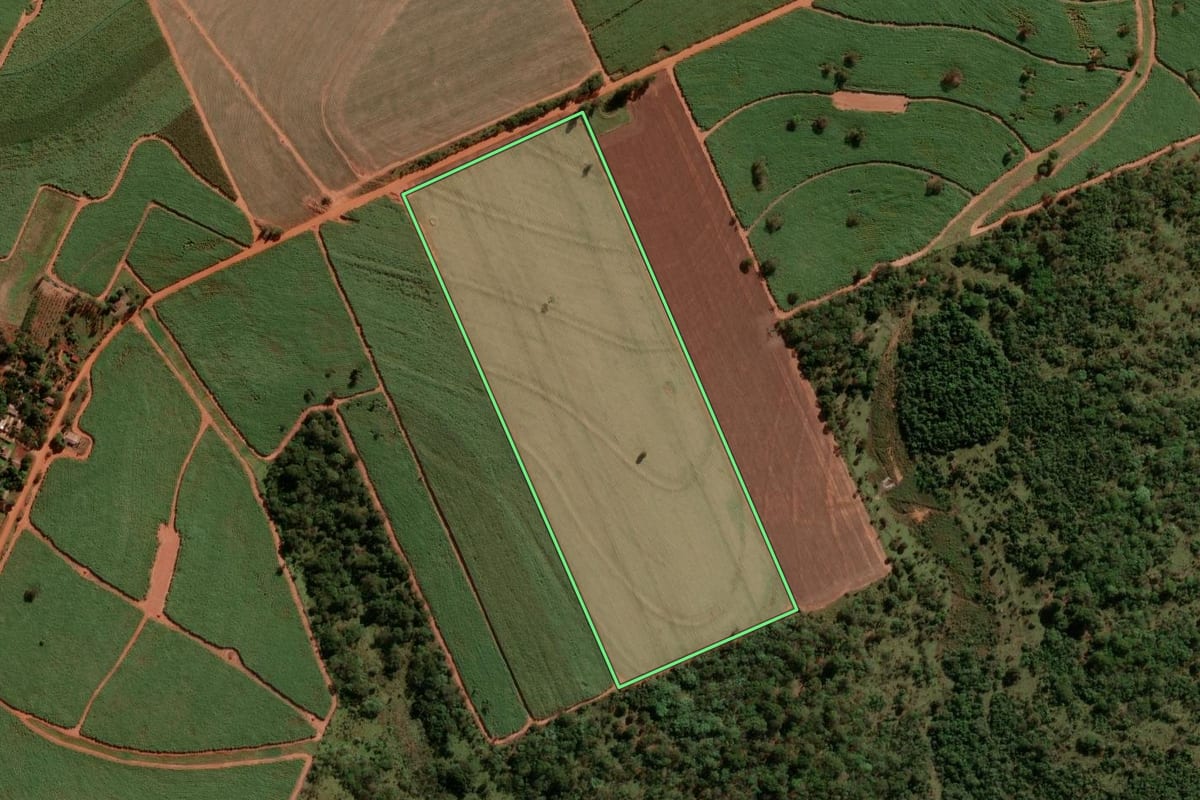 Imagem de satélite do imóvel rural em Narandiba (SP), com o contorno declarado no CAR desenhado por cima.