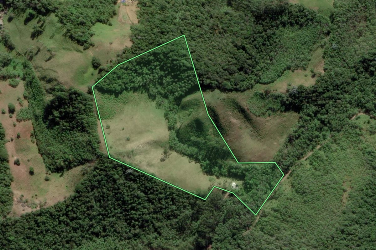 Imagem de satélite do imóvel rural em Natividade da Serra (SP), com o contorno declarado no CAR desenhado por cima.