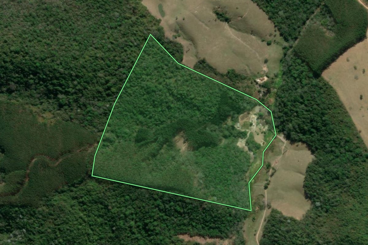 Imagem de satélite do imóvel rural em Natividade da Serra (SP), com o contorno declarado no CAR desenhado por cima.