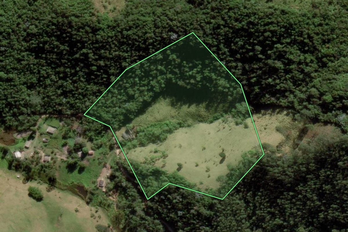 Imagem de satélite do imóvel rural em Natividade da Serra (SP), com o contorno declarado no CAR desenhado por cima.