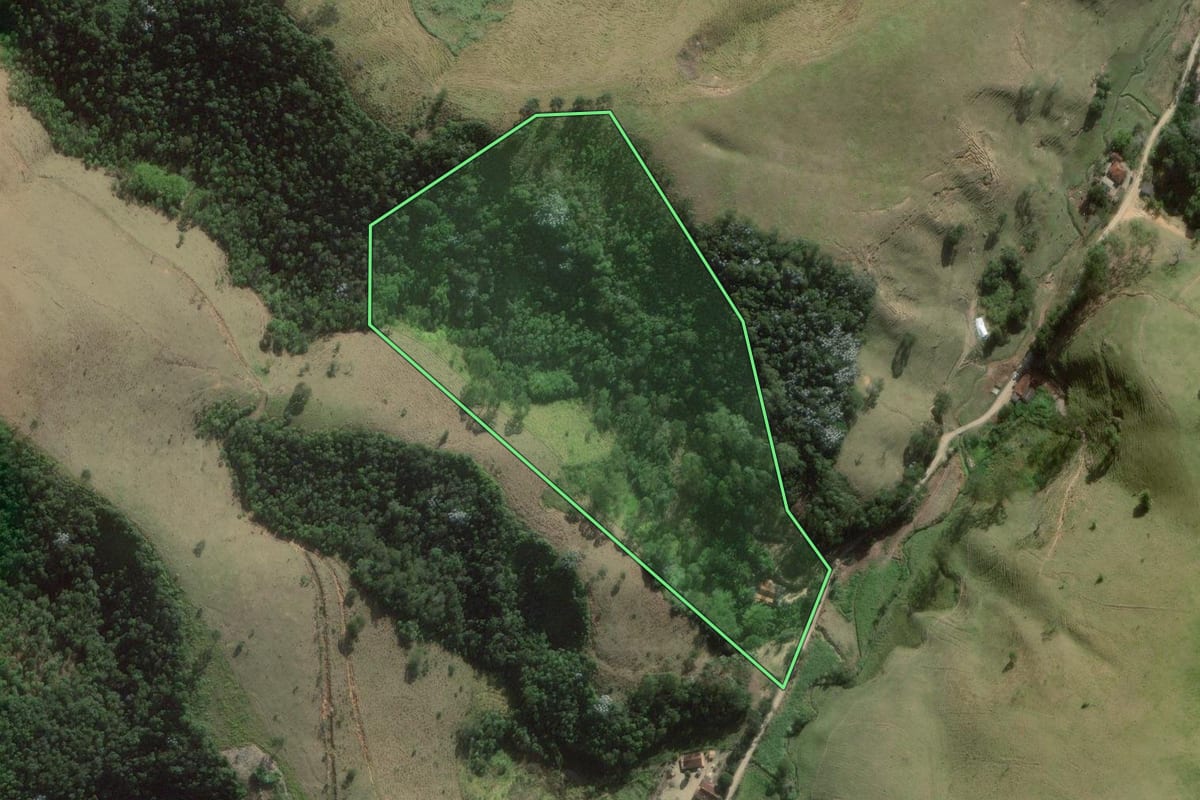 Imagem de satélite do imóvel rural em Natividade da Serra (SP), com o contorno declarado no CAR desenhado por cima.