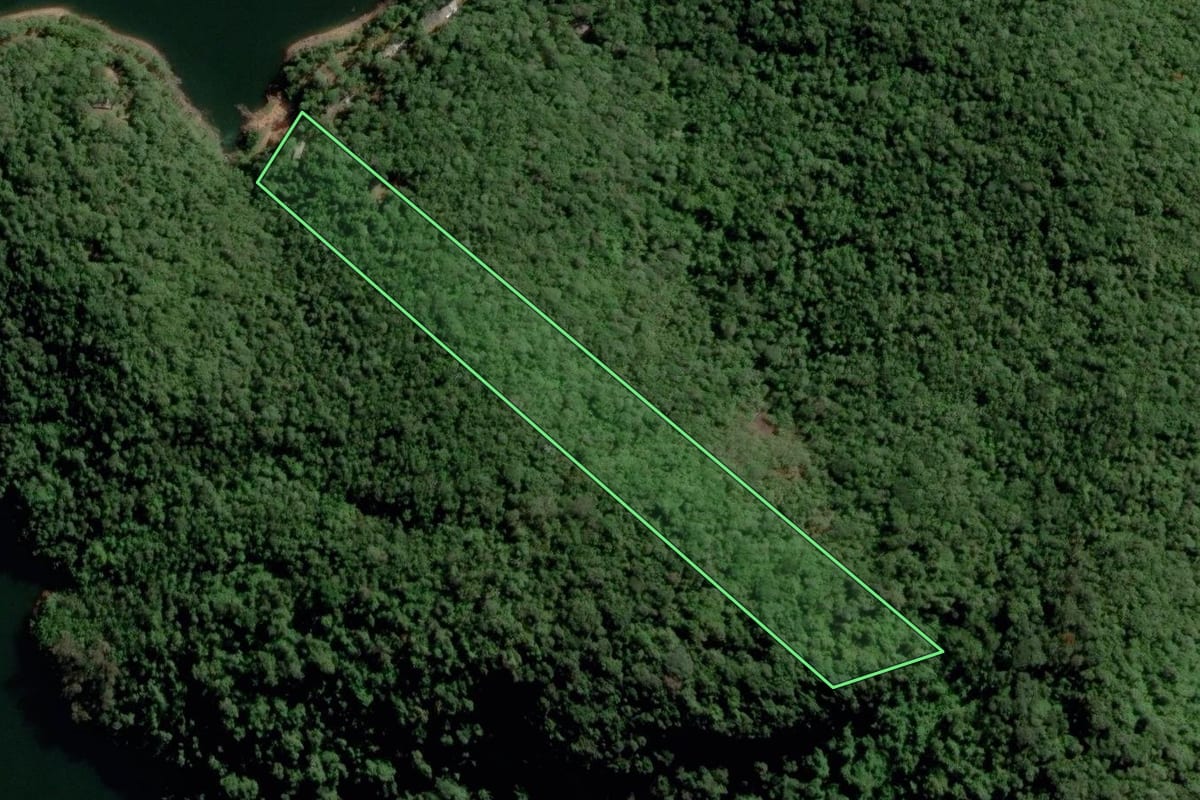 Imagem de satélite do imóvel rural em Natividade da Serra (SP), com o contorno declarado no CAR desenhado por cima.