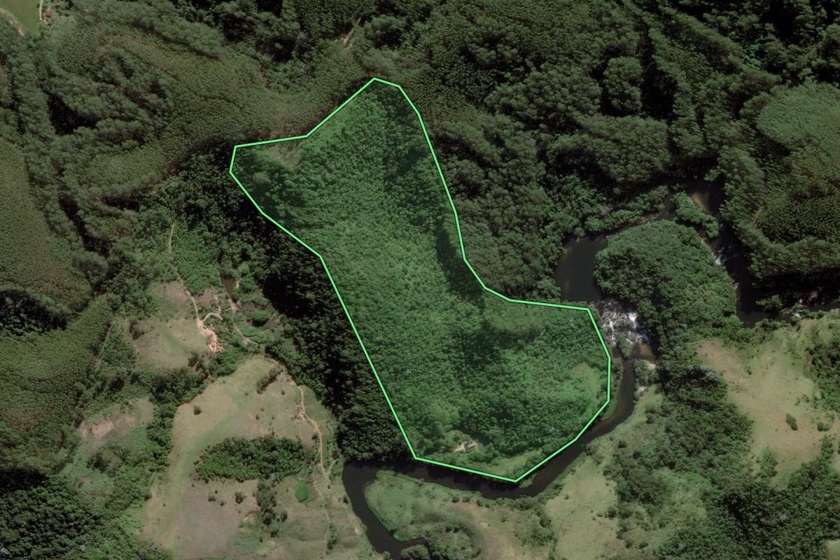 Imagem de satélite do imóvel rural em Natividade da Serra (SP), com o contorno declarado no CAR desenhado por cima.