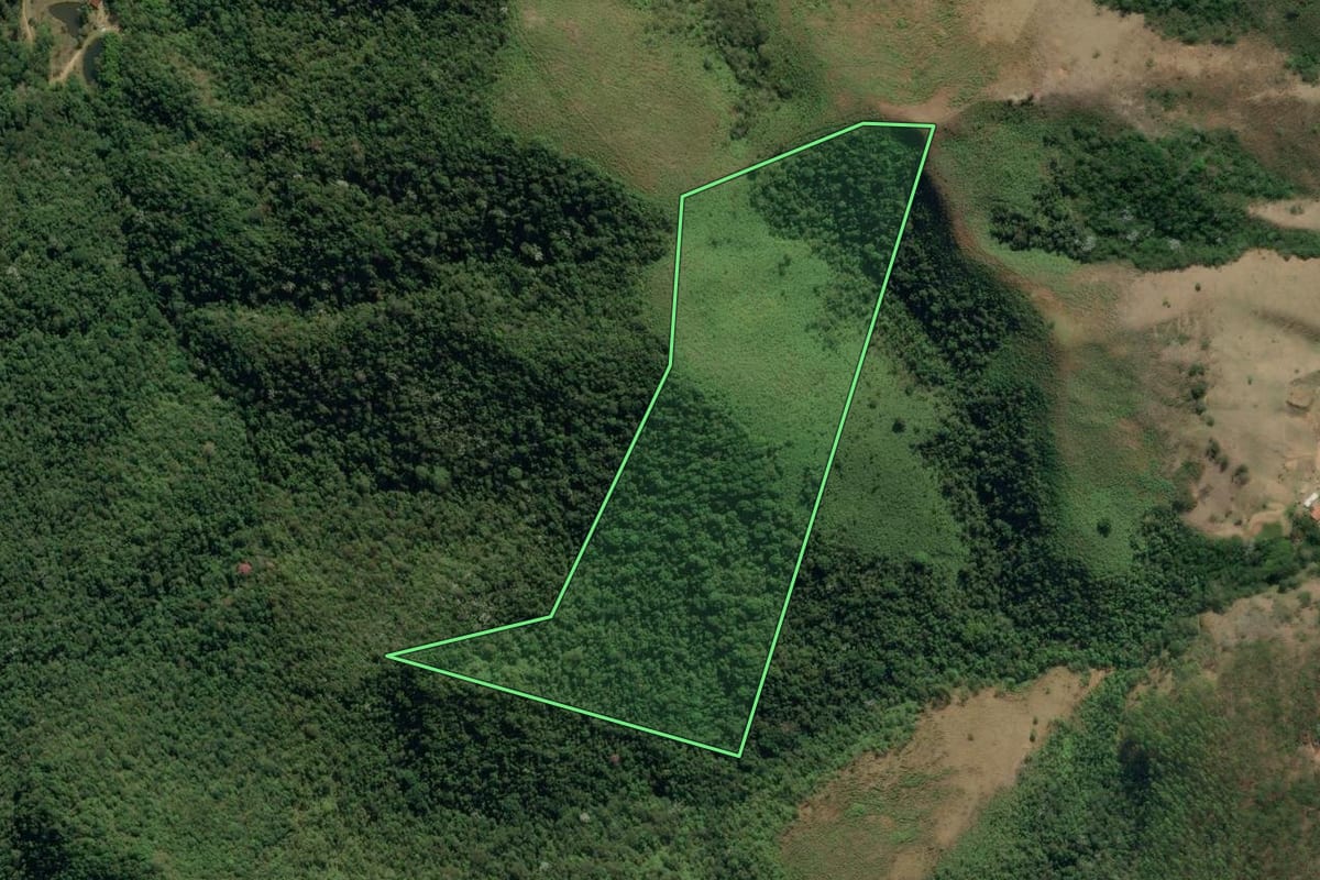 Imagem de satélite do imóvel rural em Natividade da Serra (SP), com o contorno declarado no CAR desenhado por cima.