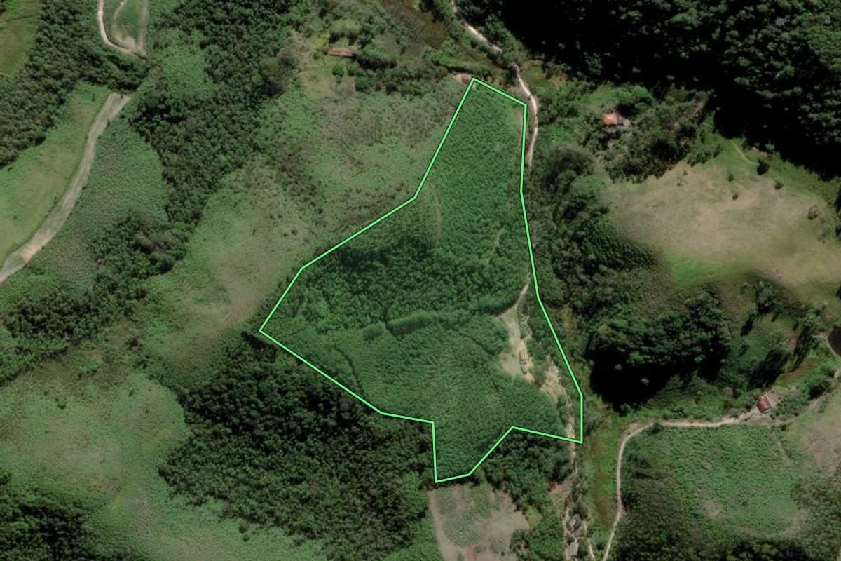 Imagem de satélite do imóvel rural em Natividade da Serra (SP), com o contorno declarado no CAR desenhado por cima.
