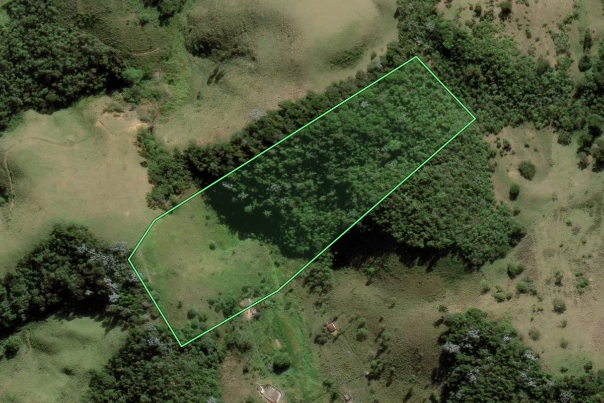 Imagem de satélite do imóvel rural em Natividade da Serra (SP), com o contorno declarado no CAR desenhado por cima.
