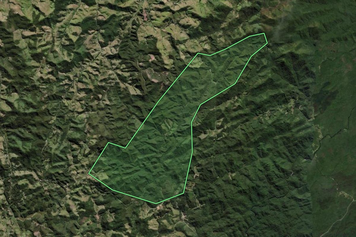 Imagem de satélite do imóvel rural em Natividade da Serra (SP), com o contorno declarado no CAR desenhado por cima.