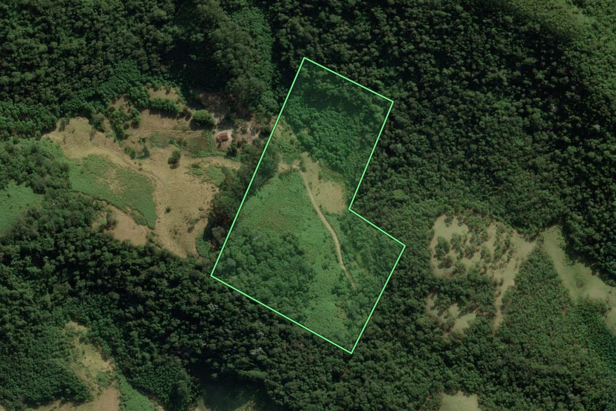 Imagem de satélite do imóvel rural em Natividade da Serra (SP), com o contorno declarado no CAR desenhado por cima.